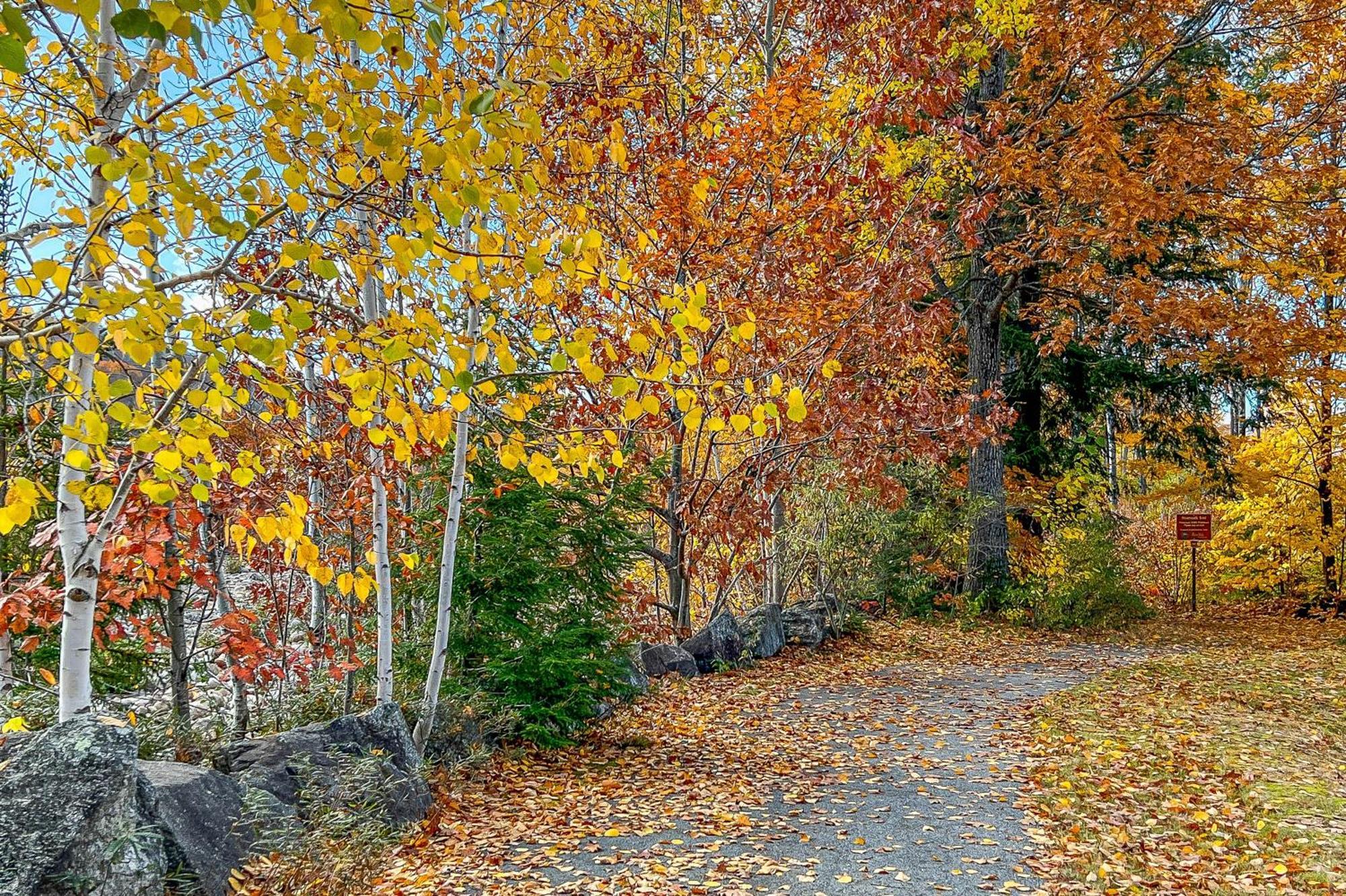 Autumn Colors Condo, Unit 215 林肯 外观 照片